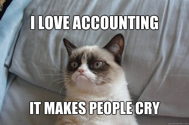 chartered accountant jokes